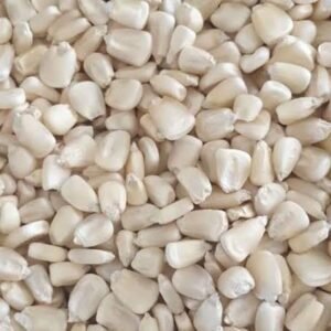 White Corn
