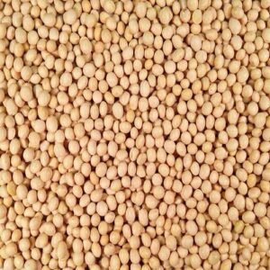Soya beans