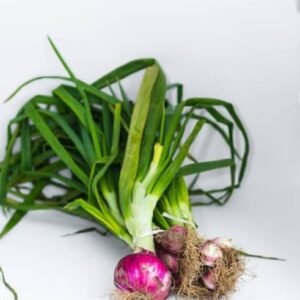 Spring Onion (per bunch)