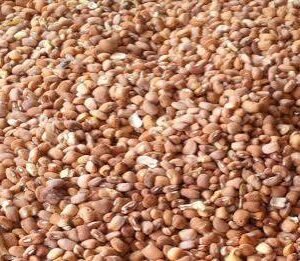 Oloyin Beans Cleaned (full ptr)
