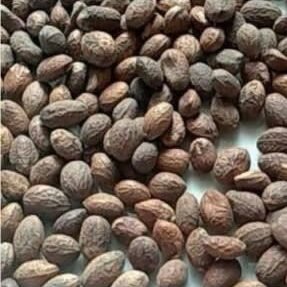 Miracle Seed 100G
