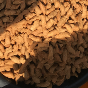 Kuli Kuli (1 painter)