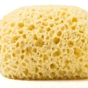 Sponge Big