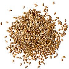 Flax seed (100g)