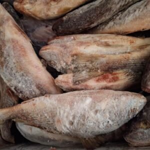 Croaker Fish (per kg) (frozen)