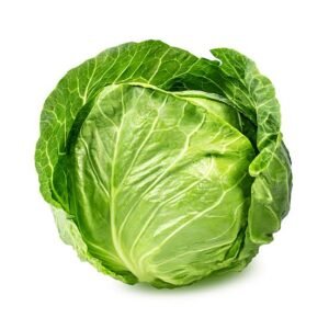 Cabbage (small)