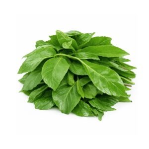 Scent leaf 45g