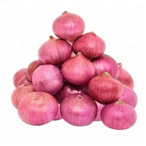 Onion (1 ptr)
