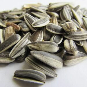 Sunflower Seed (100g)