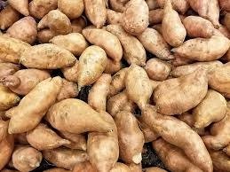 Sweet Potato (½ painter)