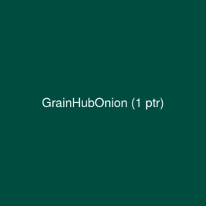 Onion (1 ptr)