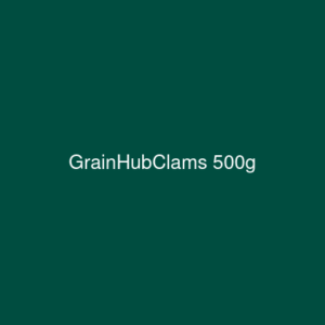Clams 500g