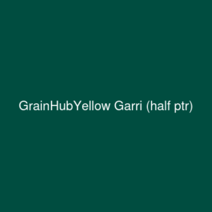 Yellow Garri (half ptr)