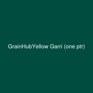 Yellow Garri (one ptr)