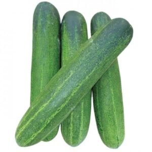 Cucumber (big)
