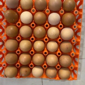 Egg (1 crate)