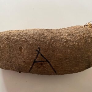Yam (Size A)