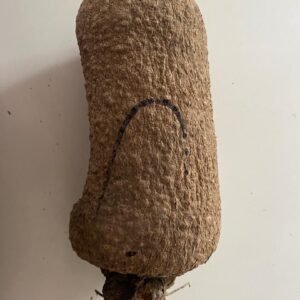 Yam (Size C)