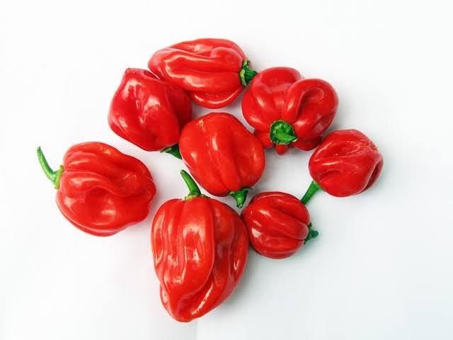 Fresh Pepper