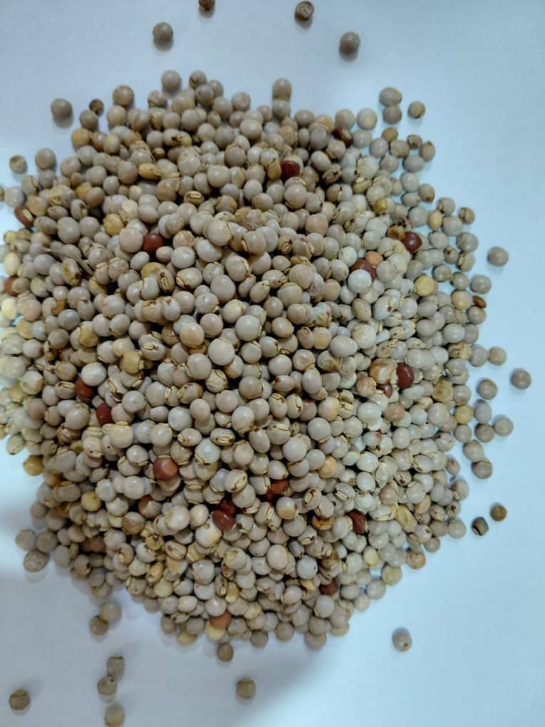 Cardamon Seed (245G)