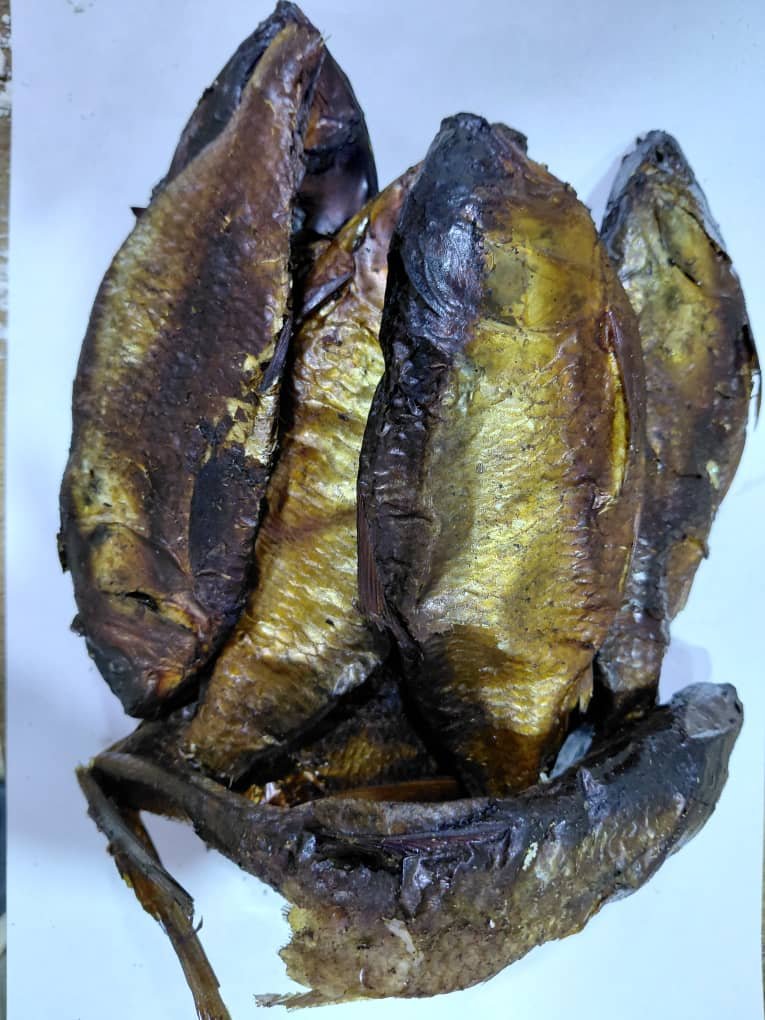 Bonga Fish (5Pcs)