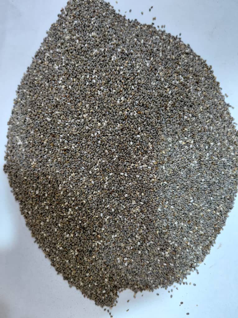 Chia Seed 100G