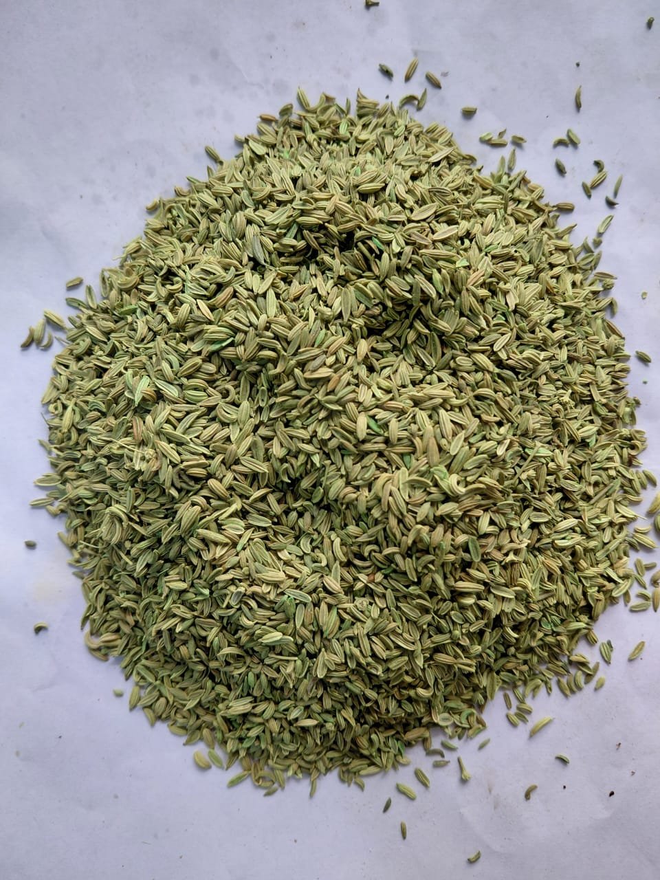 Fennel Seed (250G)