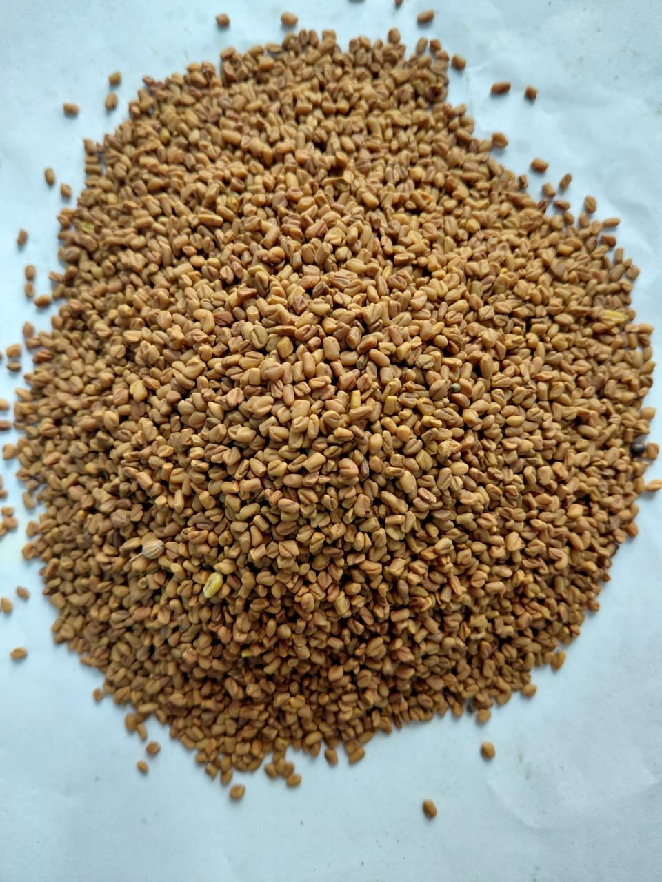 Fenugreek Seed (200G)