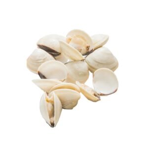 Clams 1Kg