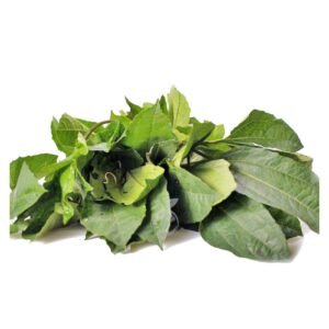 Fresh Ugwu