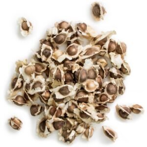 Moringa Seed 200G