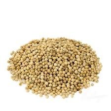 White Pepper Seed 100G