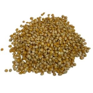Foreign Popcorn (1Kg)