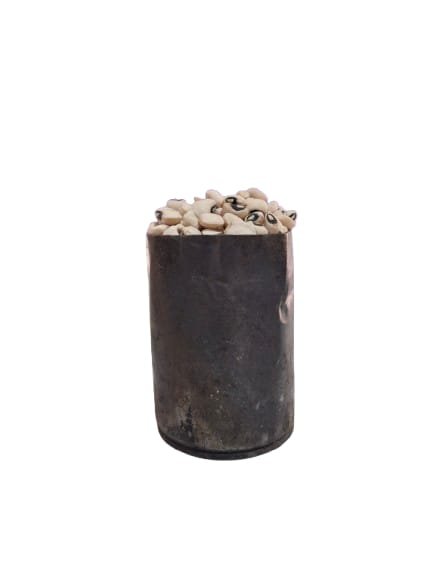 Iron Beans